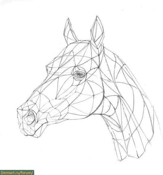 Конь из линий