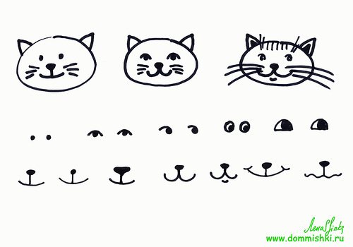 Простая мордочка кота