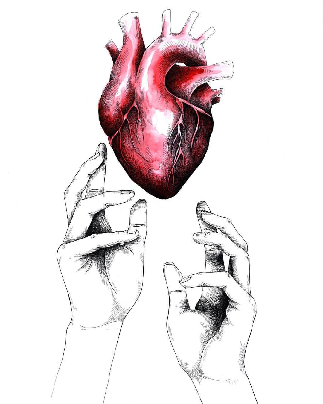 Человеческое сердце в руке