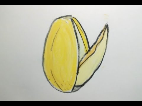 Лёгкий рисунок дыни