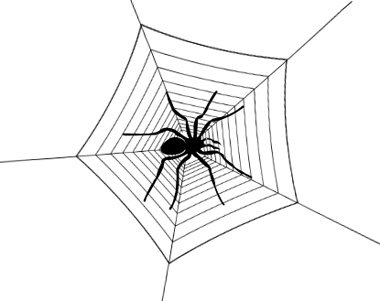Схематичный рисунок паука