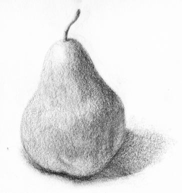 Зарисовка груши карандашом