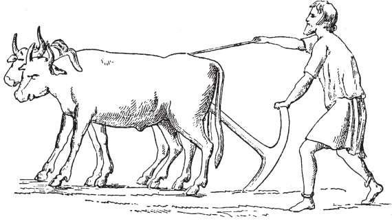 Пахарь древний Рим