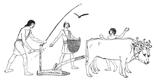 Иллюстрация бычья шкура