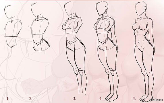 Туториалы по рисованию груди