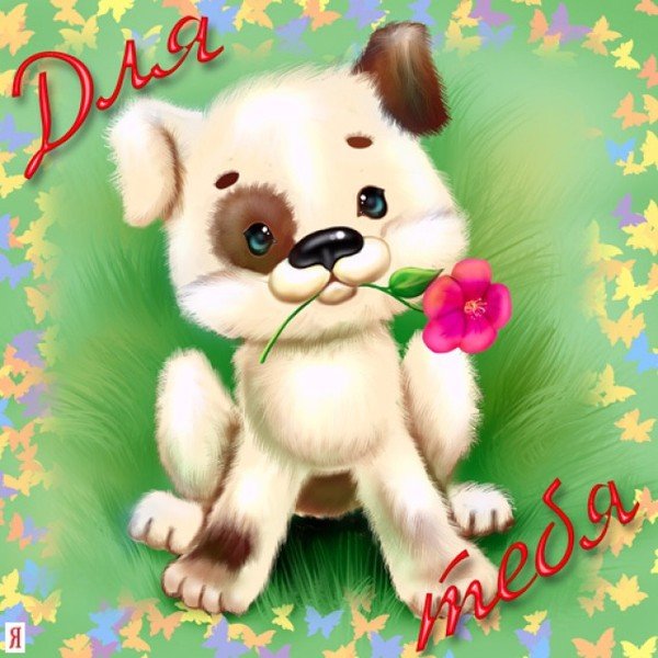 Милые открытки просто так