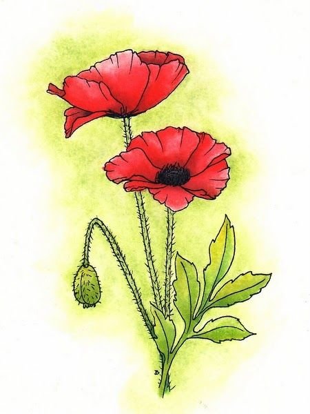 Мак картинка для детей