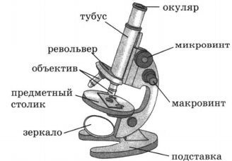 Световой микроскоп строение микровинт