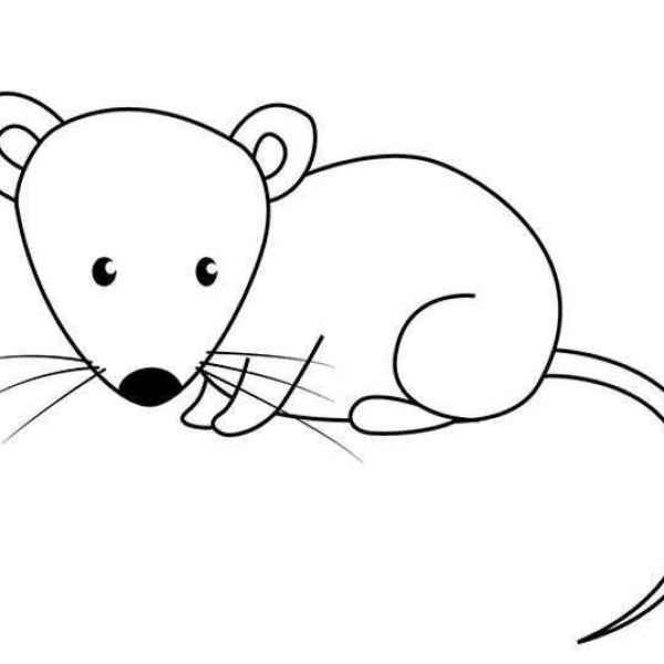 Мышка рисунок карандашом