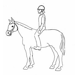 Всадник на коне карандашом