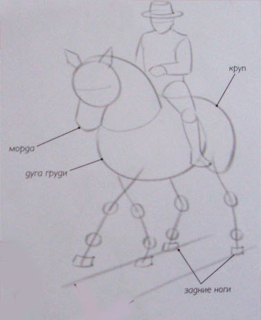 Раскраска человек на лошади