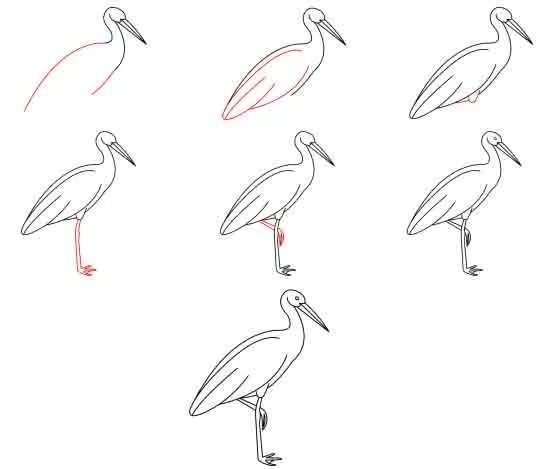 Рисунки карандашом аиста для срисовки