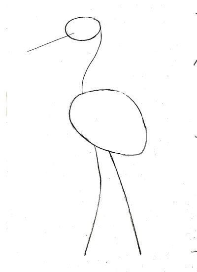 Цапля поэтапное рисование