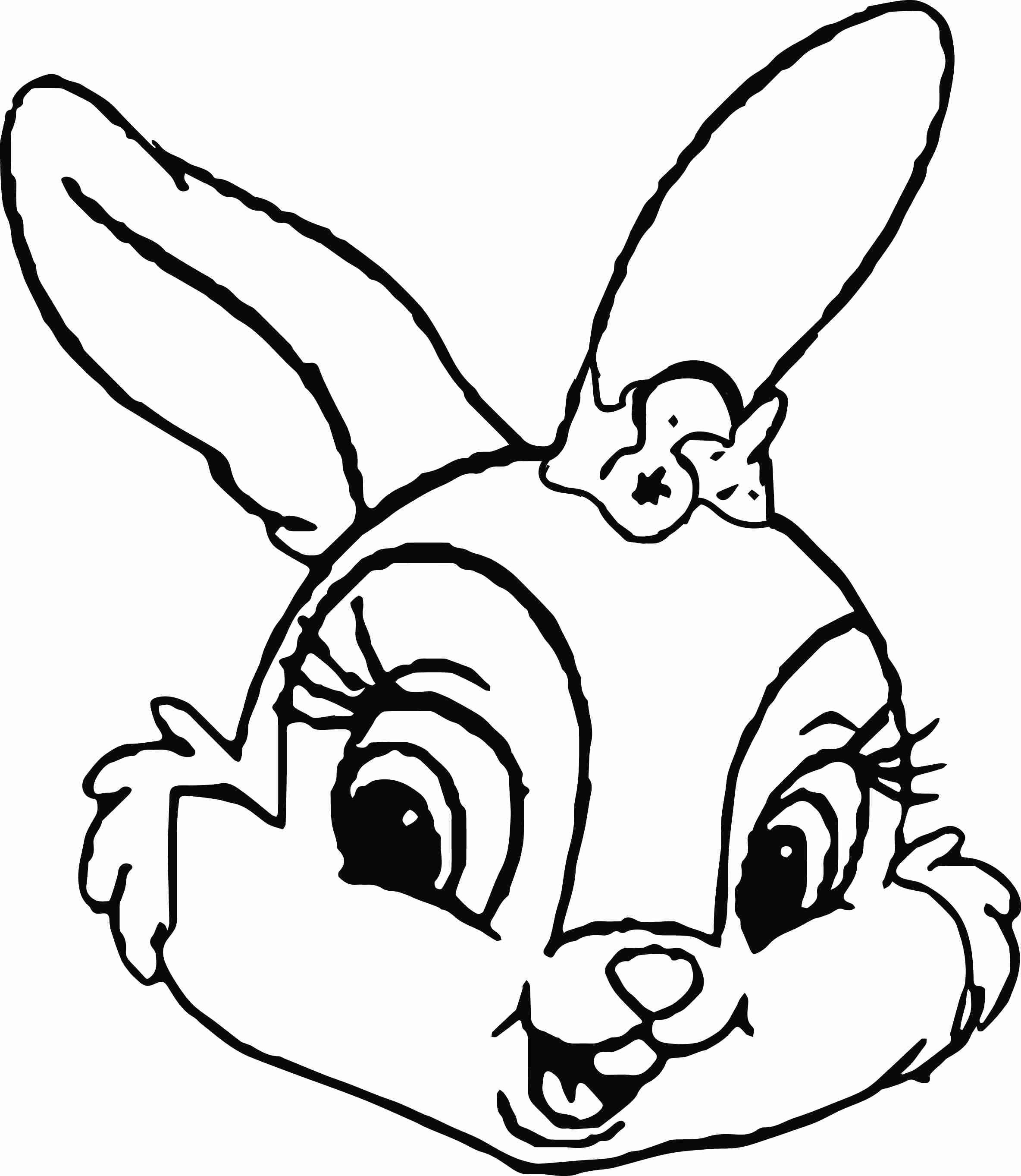 Rabbit face рисунок для детей