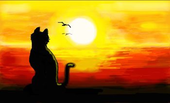 Картина кот на закате