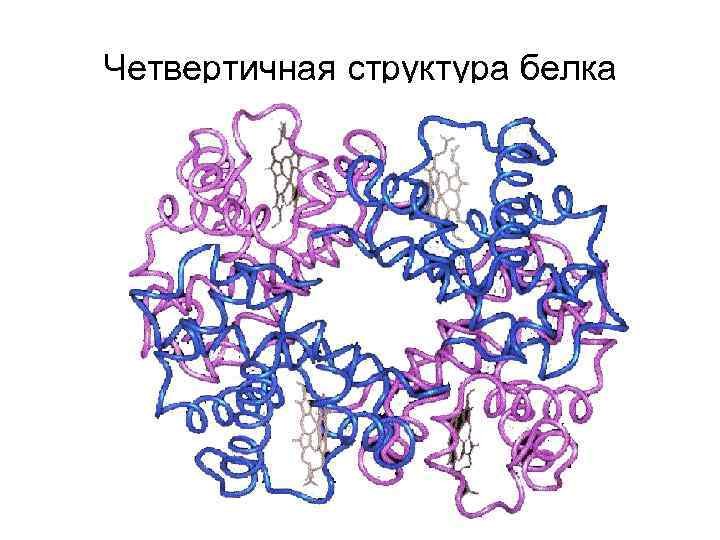 Каков состав белка. Четвертичная структура белка схема. Четвертичная структура белка это структура. Четверичная структура белка. Четвертичная структура белка схематично.