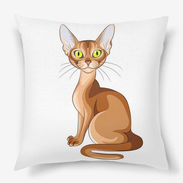 Стикеры абиссинец