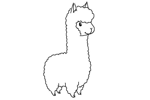 Лама рисунок карандашом для срисовки