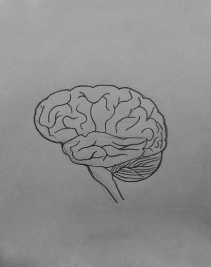 Мозг карандашом