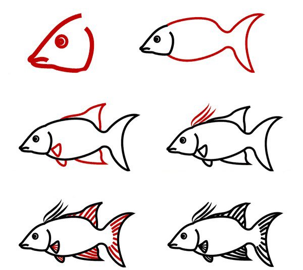 Рыбка для срисовки легко