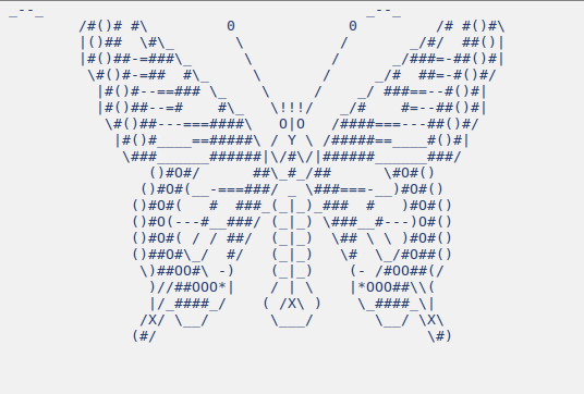 Искусство шрифта