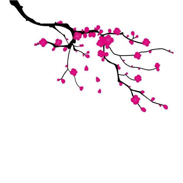 Ветка сакуры рисунок простой (49 фото)