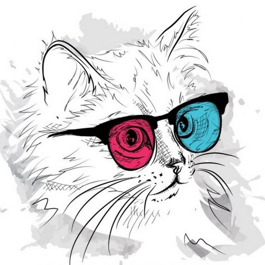 Кошка в очках рисунок