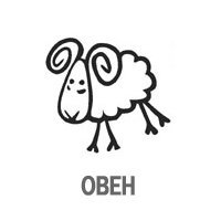 Овен на белом фоне