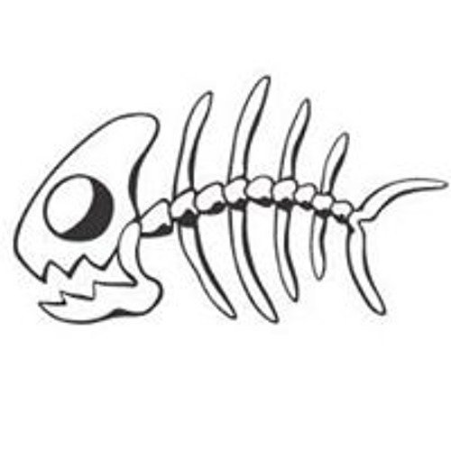 Кости рыбы по отдельности