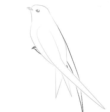 Стрижонок скрип