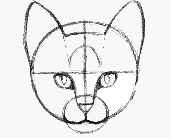 Рисование морды