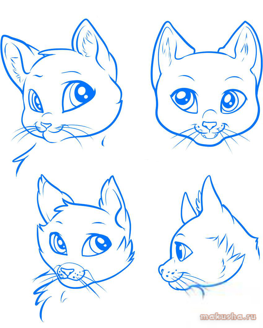 Рисовать котенка легко. Рисуем морду кошки. Кошачья мордочка рисунок. Поэтапный рисунок морды кошки. Рисунки мультяшных котят.