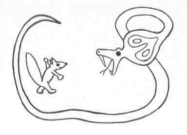 Мангуст Рикки Тикки Тави диафильмы