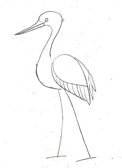 Цапля рисунок для детей карандашом
