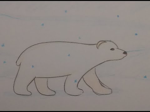 Поэтапное рисование белого медведя в старшей группе