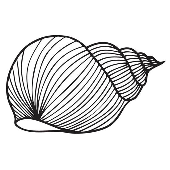 Рисование на ракушках