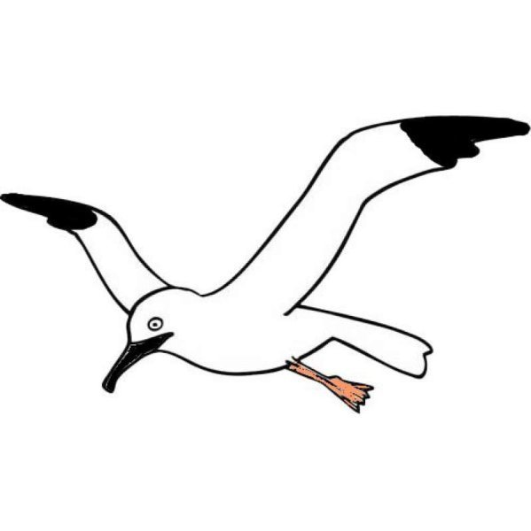 Трафарет Чайки