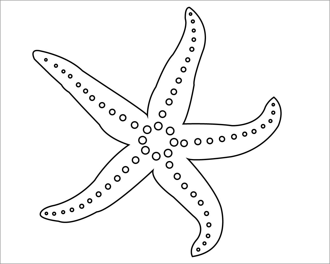 Морская звезда рисунок шаблон