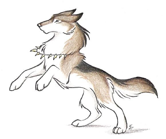 WILDSPIRITWOLF волки