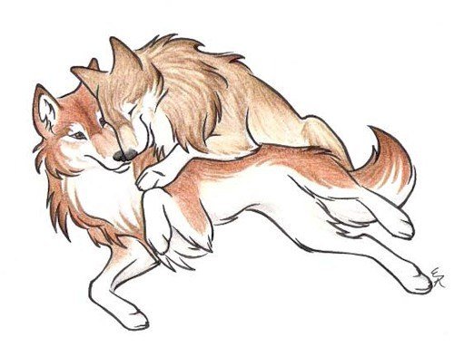 Влюбленные волки карандашом