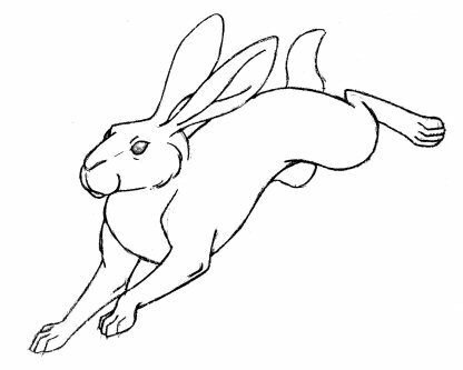 Заяц в прыжке вектор