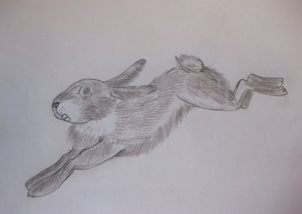 Маленький зайчик рисунок