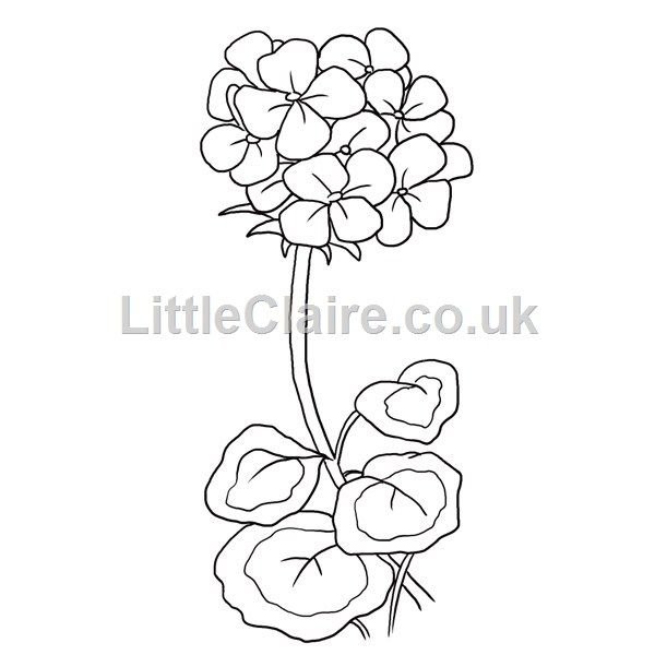 Цветы на клумбе раскраска для детей