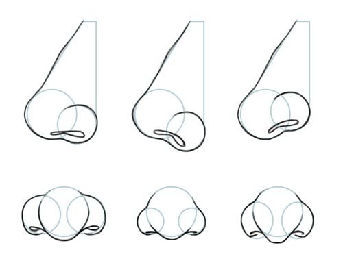 Нос в профиль референс