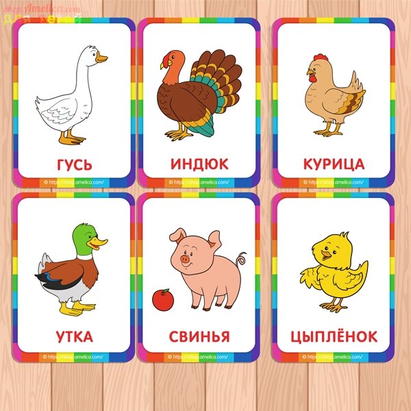 Счётный материал для дошкольников