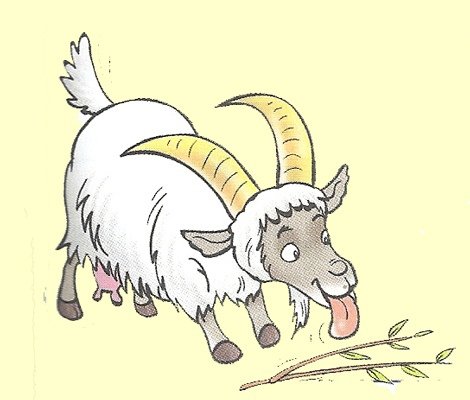 Коза с козлом картина для детей