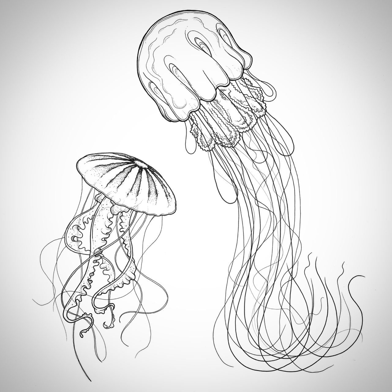 Медуза тату эскиз