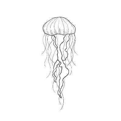 Медуза тату эскиз Минимализм