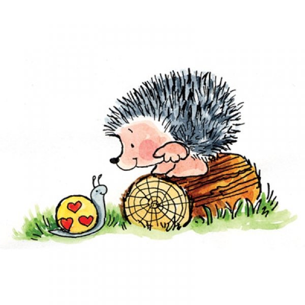 Улитка и еж