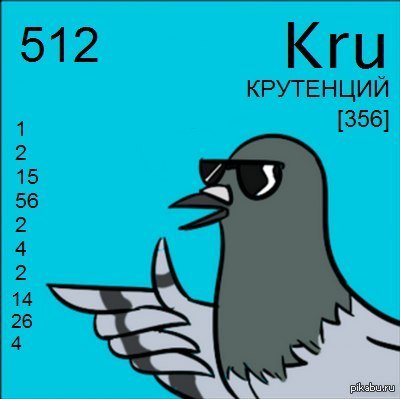 Крутой голубь